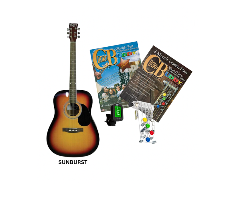 Perry Adult Dreadnought Acoustical (Guitar Only)